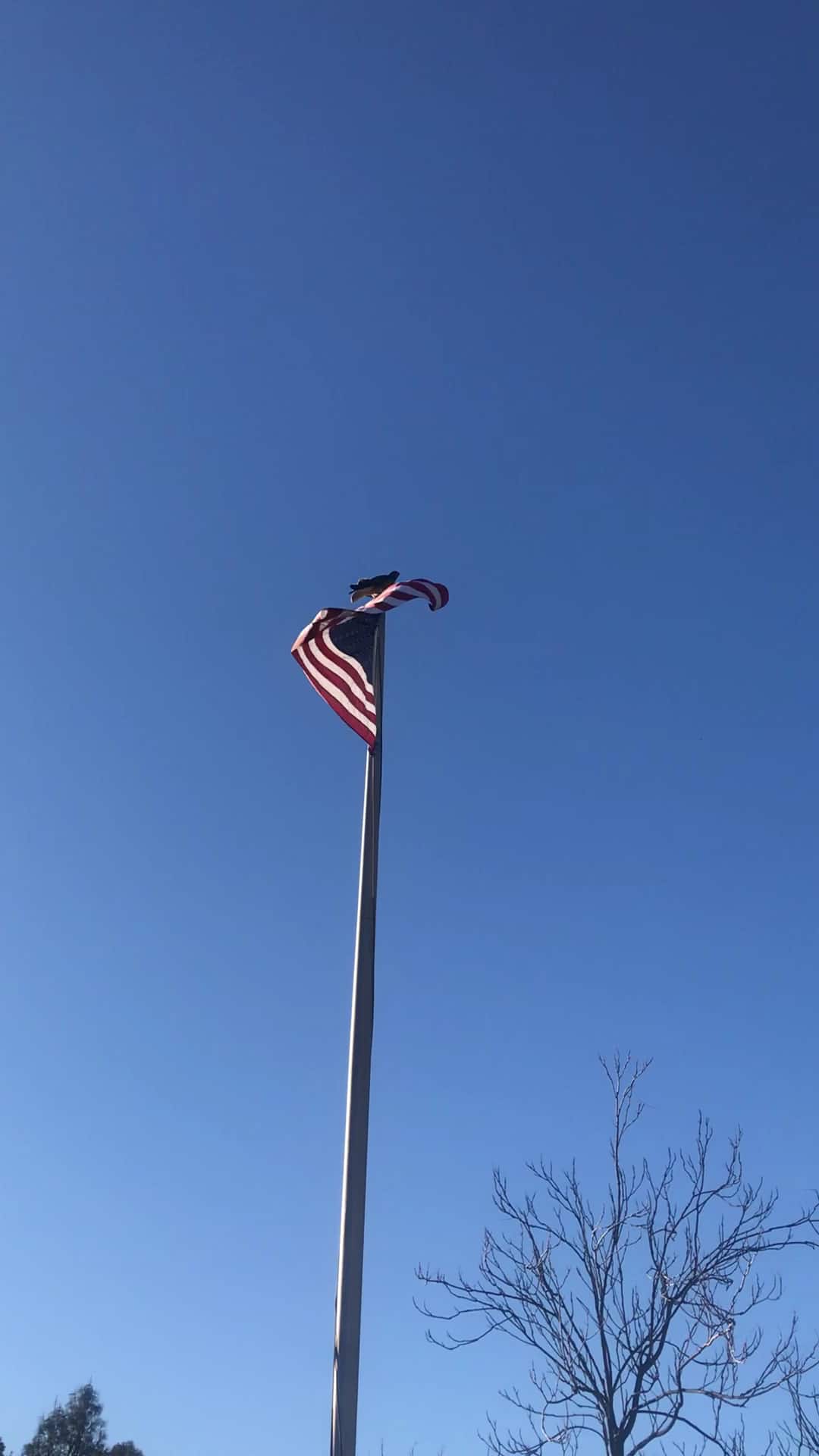 Utica Park - Angels Camp, CA