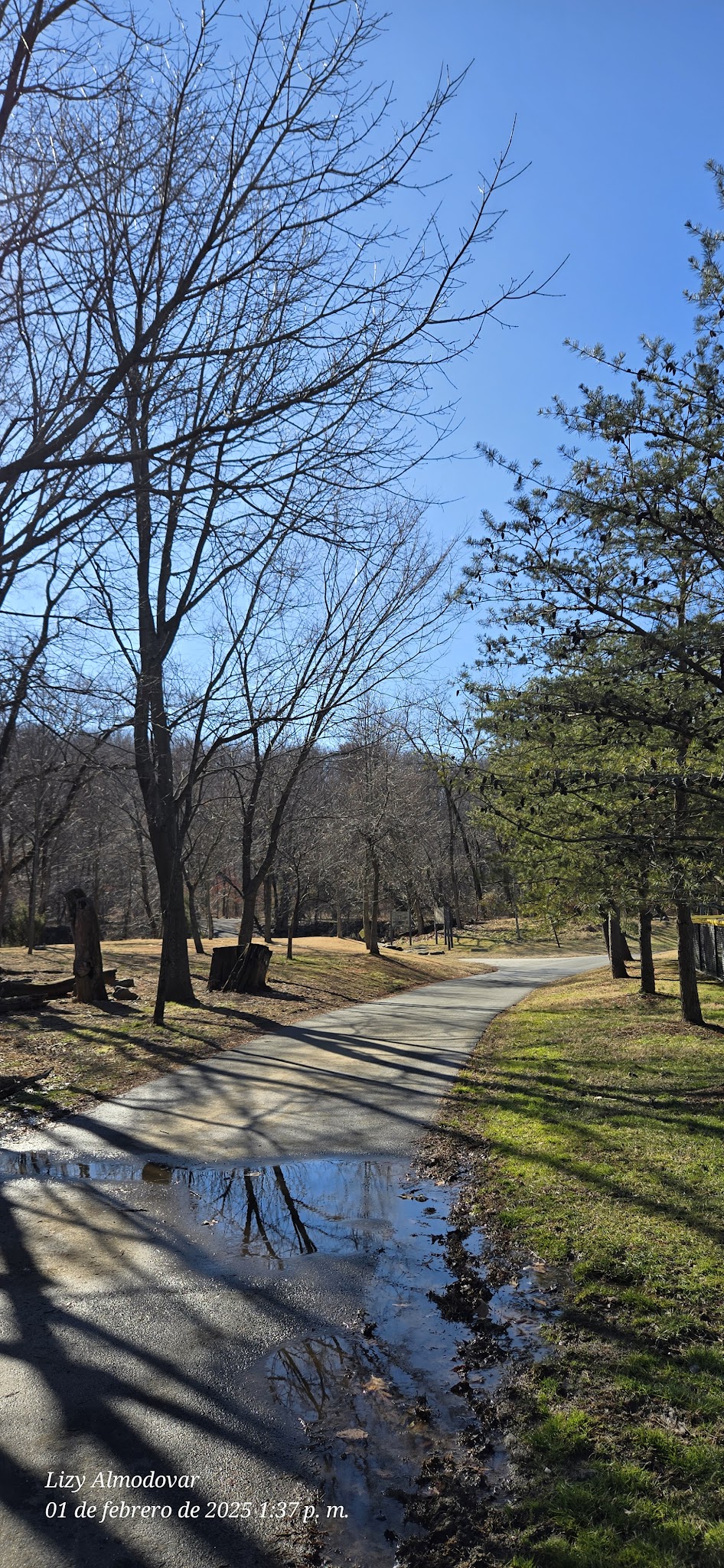 Tucker Field at Barcroft Park - Arlington, VA