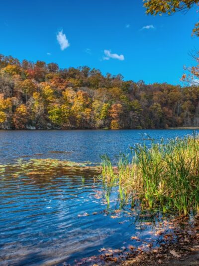 Wampus Pond Park - Armonk, NY