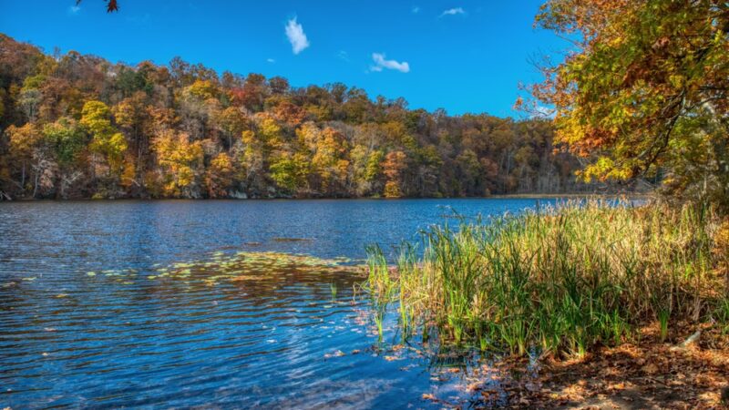 Wampus Pond Park - Armonk, NY