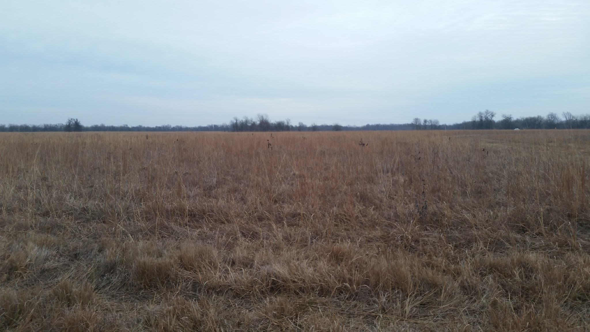 Wah-Sha-She Prairie State Natural Area - Asbury, MO