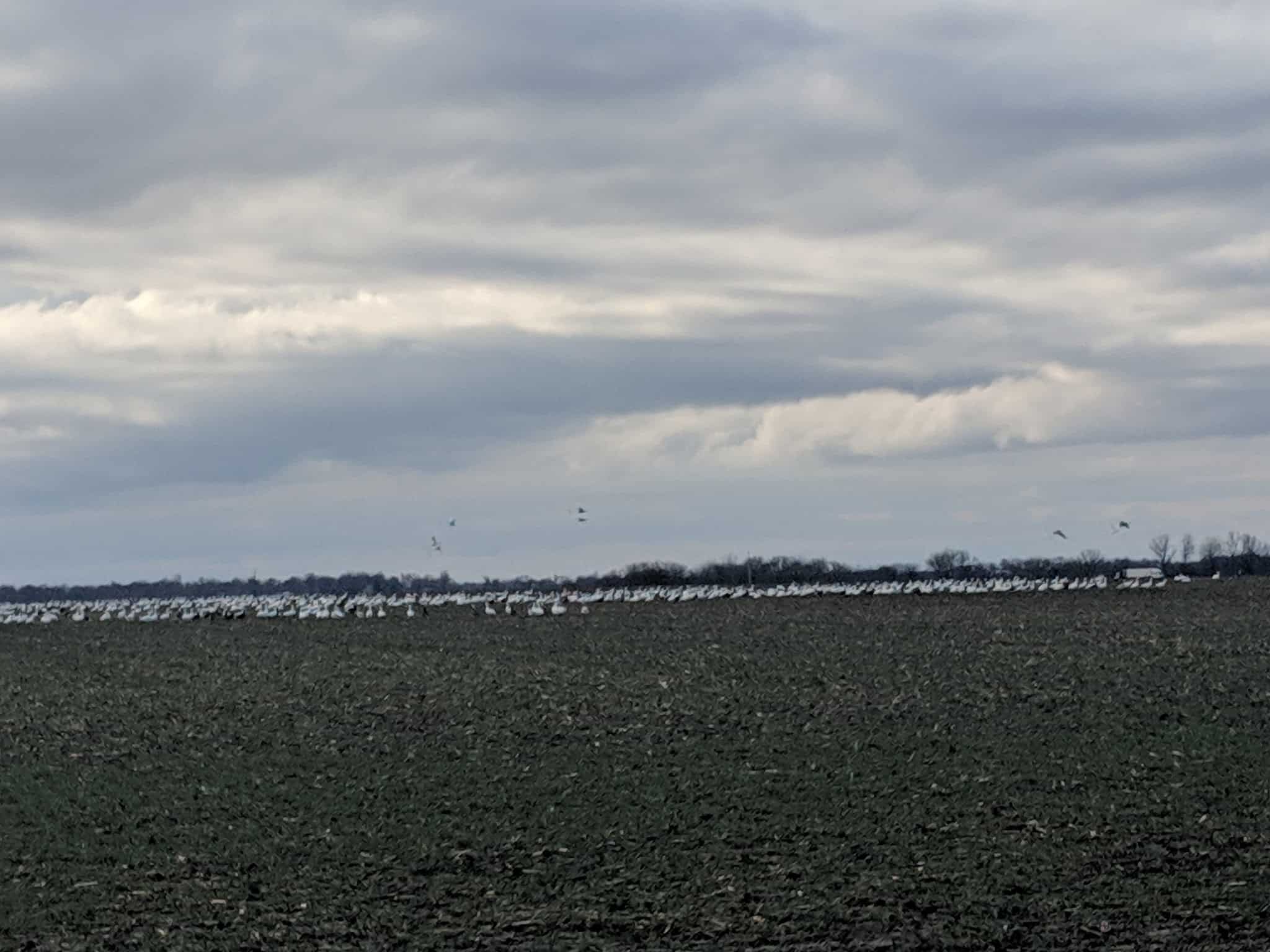 Wah-Sha-She Prairie State Natural Area - Asbury, MO