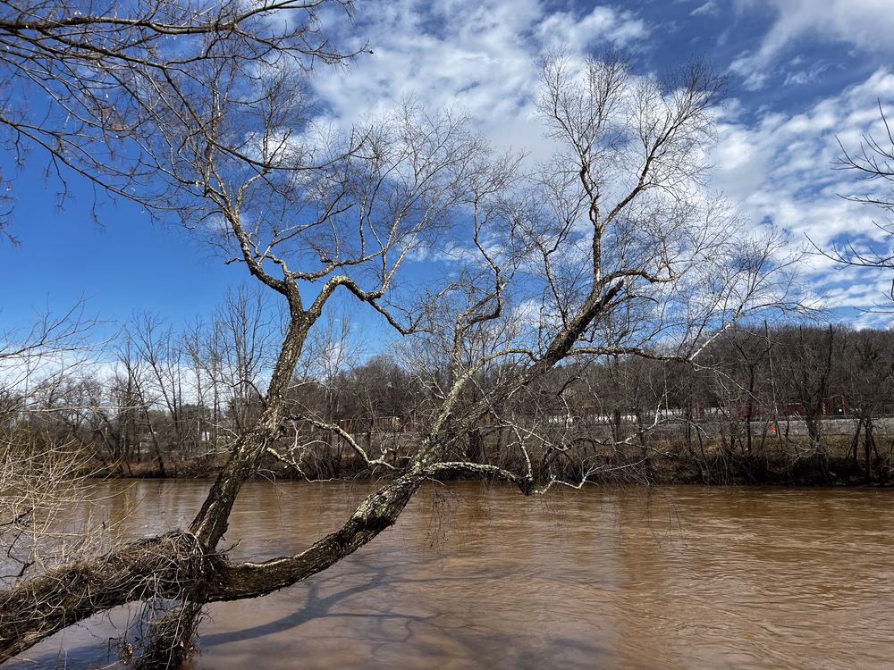 French Broad River Park - Asheville, NC