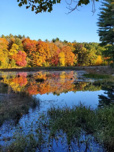 Ashford - Ashford, CT