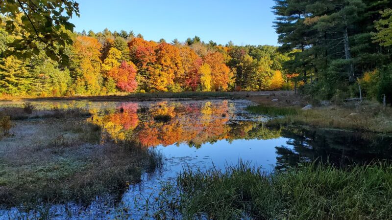 Ashford - Ashford, CT