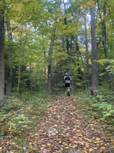 Nipmuck trail - Ashford, CT