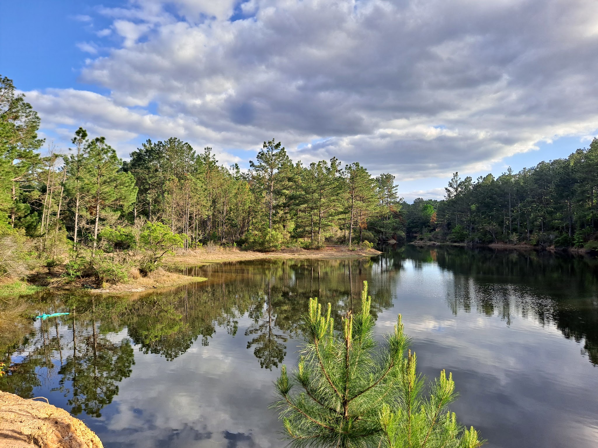 Coleman Park - Athens, TX