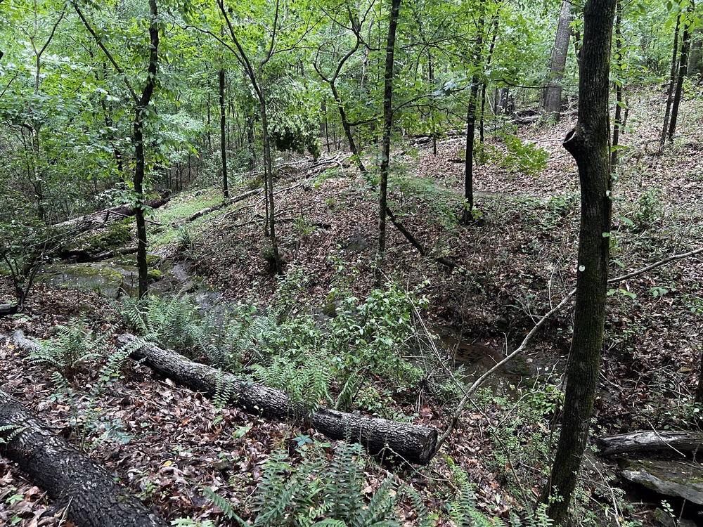 Southside Park - Atlanta, GA