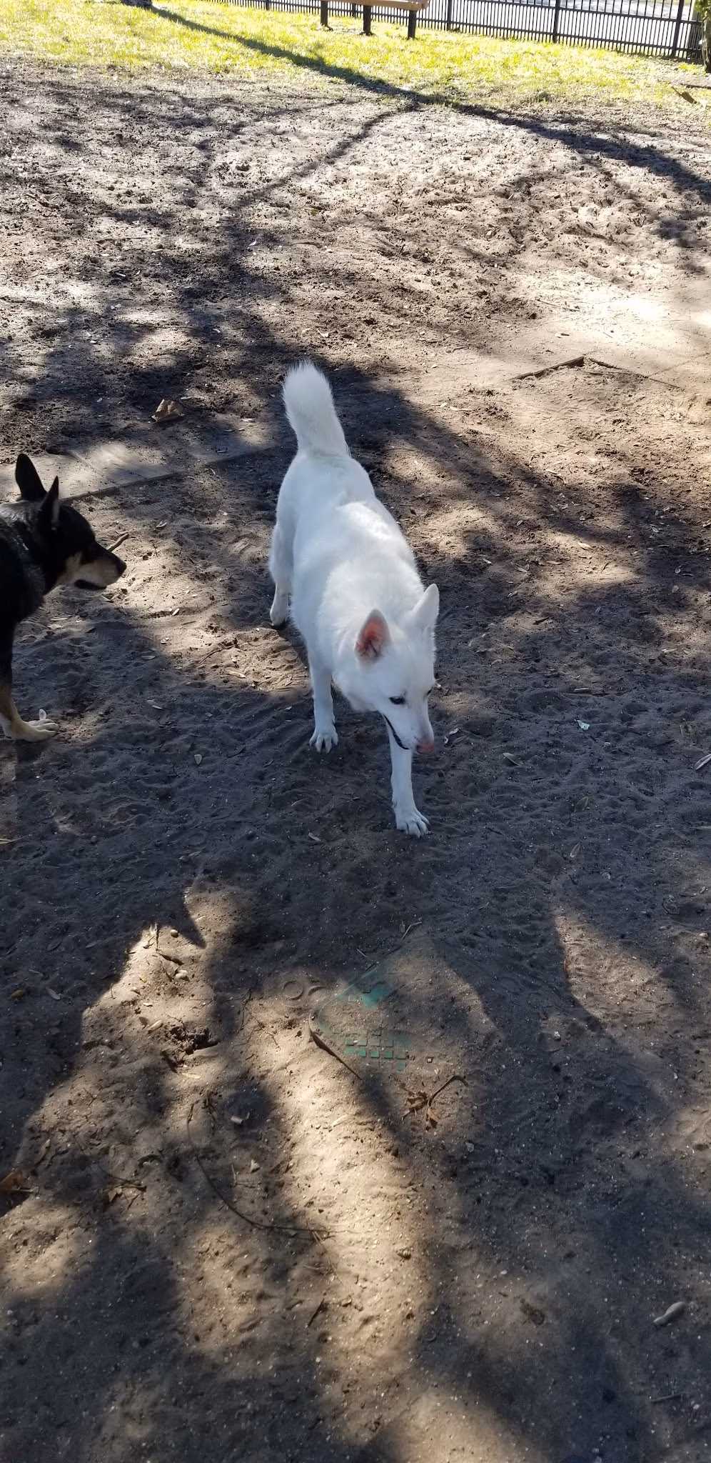 Rose Park - Atlantic Beach, FL