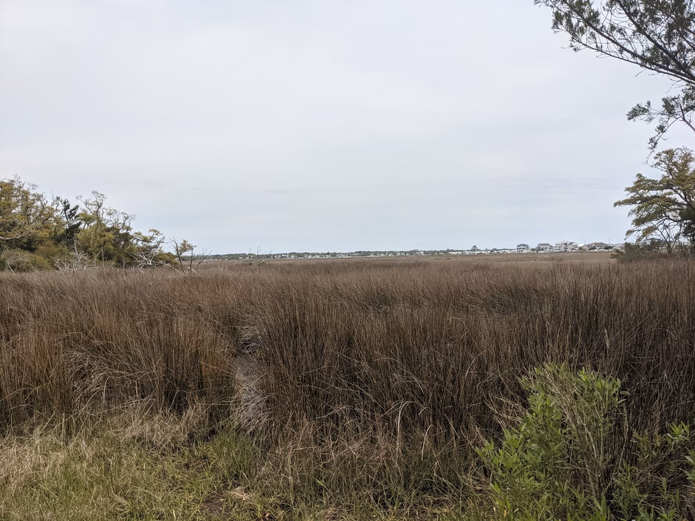 Hoop Pole Creek Nature Trail - Atlantic Beach, NC