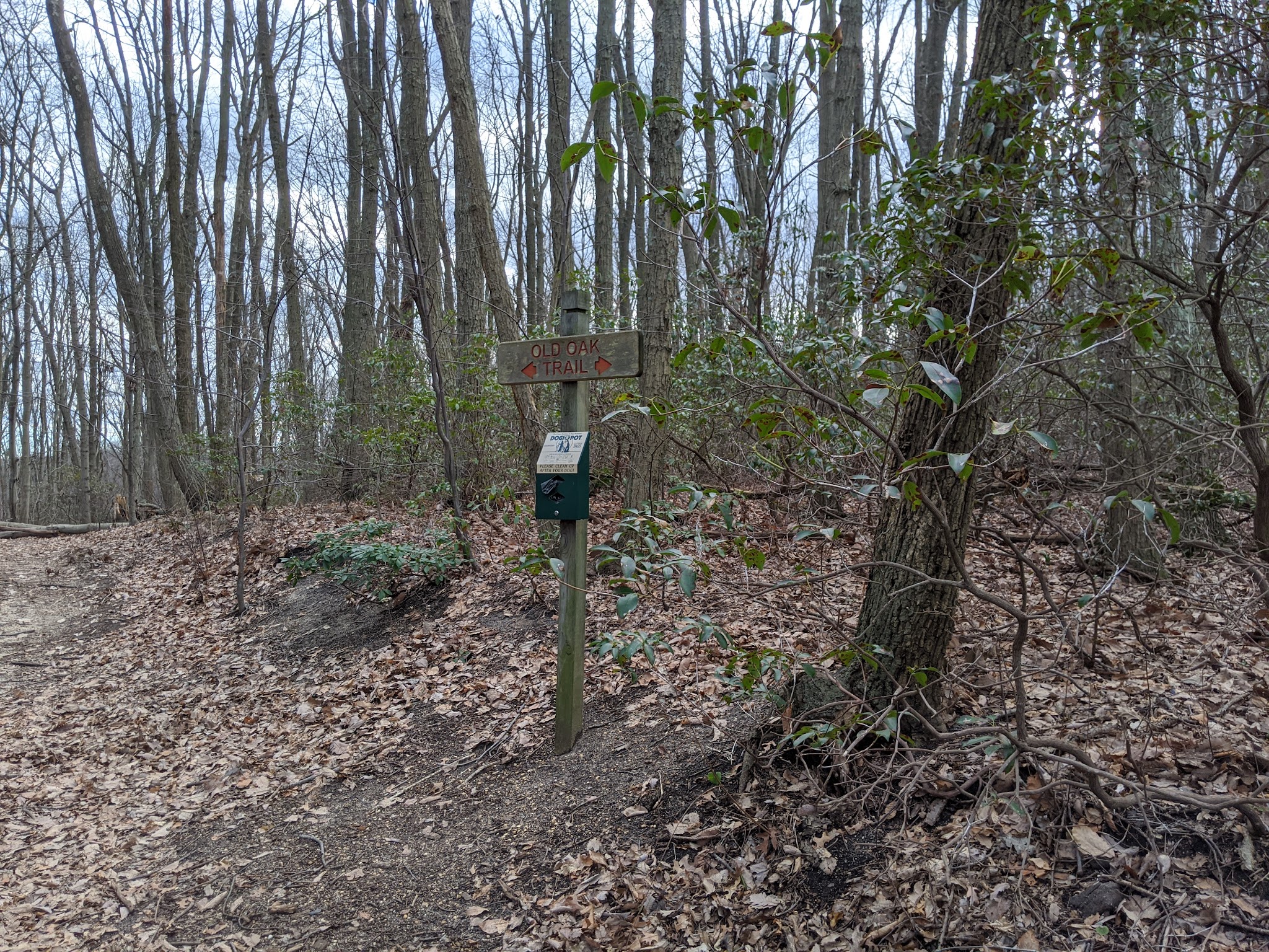 Lenape Woods Nature Preserve - Atlantic Highlands, NJ