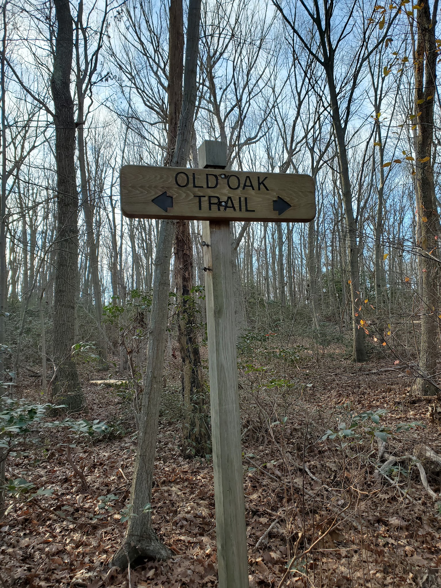 Lenape Woods Nature Preserve - Atlantic Highlands, NJ