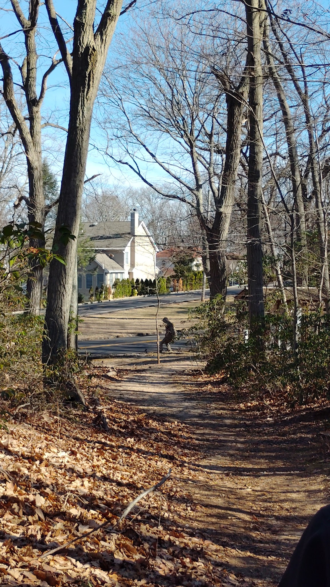 Lenape Woods Nature Preserve - Atlantic Highlands, NJ