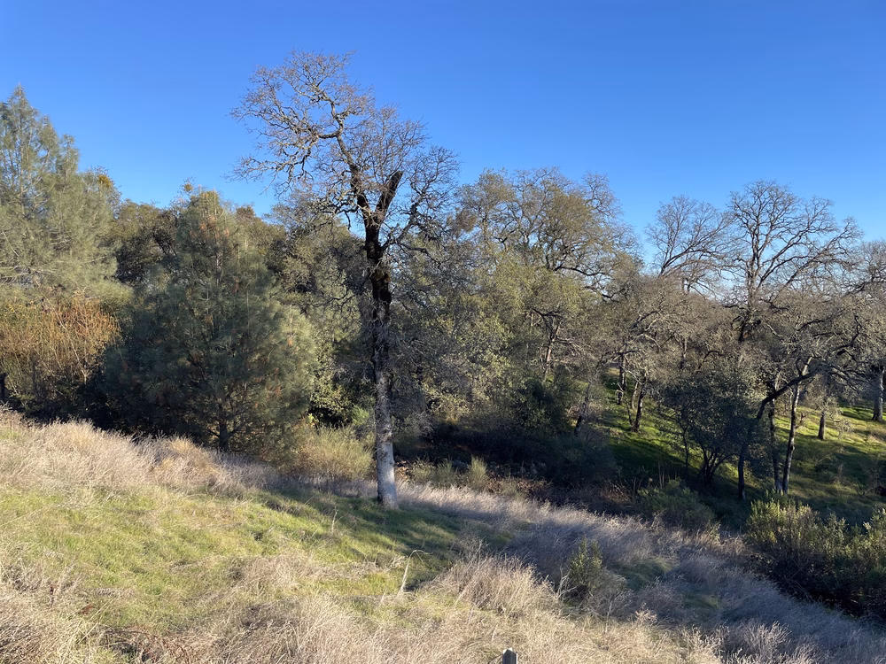Canyon View Preserve - Auburn, CA