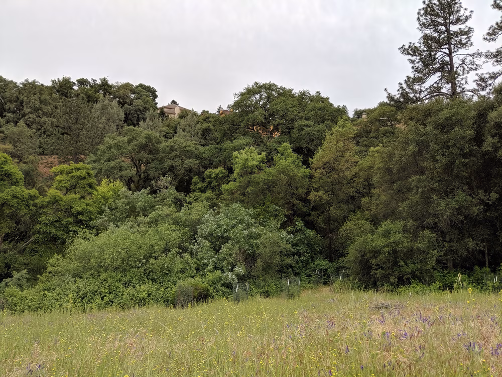 Canyon View Preserve - Auburn, CA