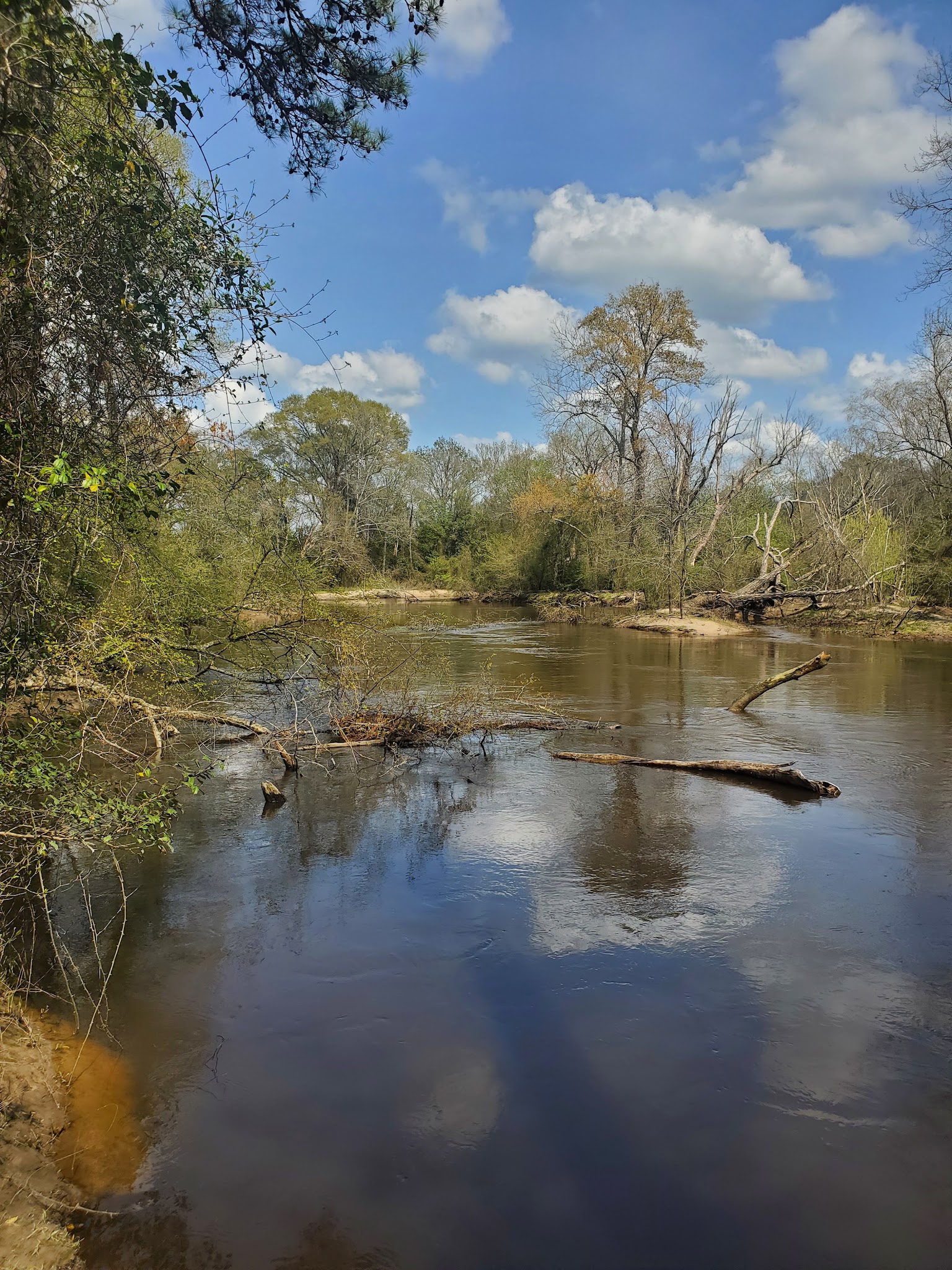 Zoar State Forest - Aylett, VA