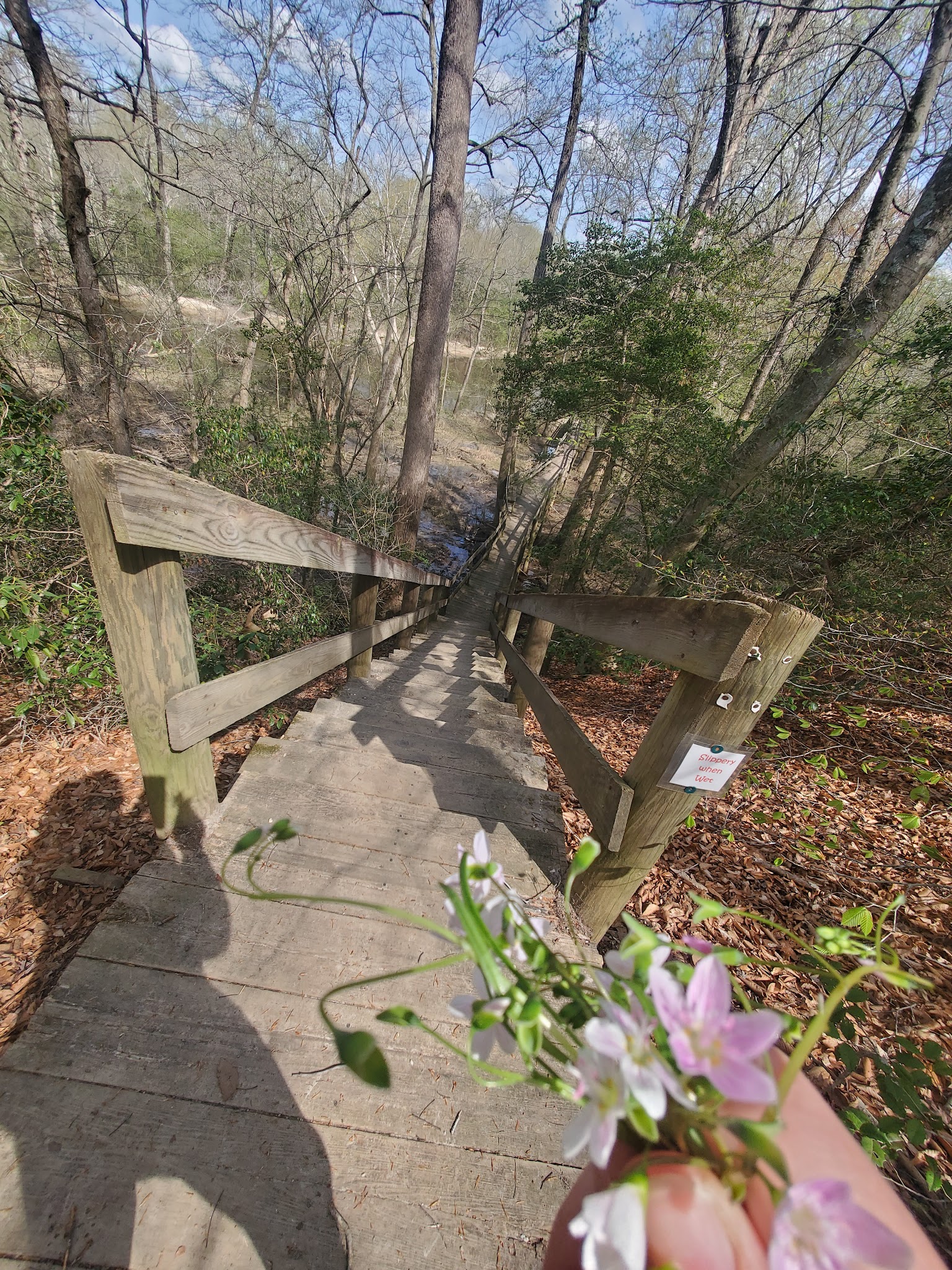 Zoar State Forest - Aylett, VA