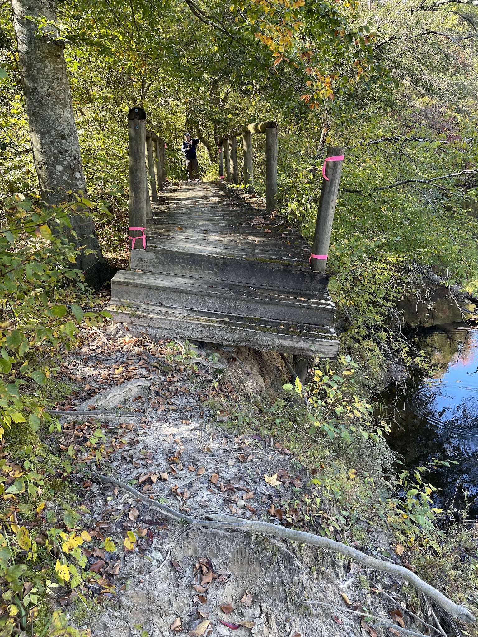 Zoar State Forest - Aylett, VA