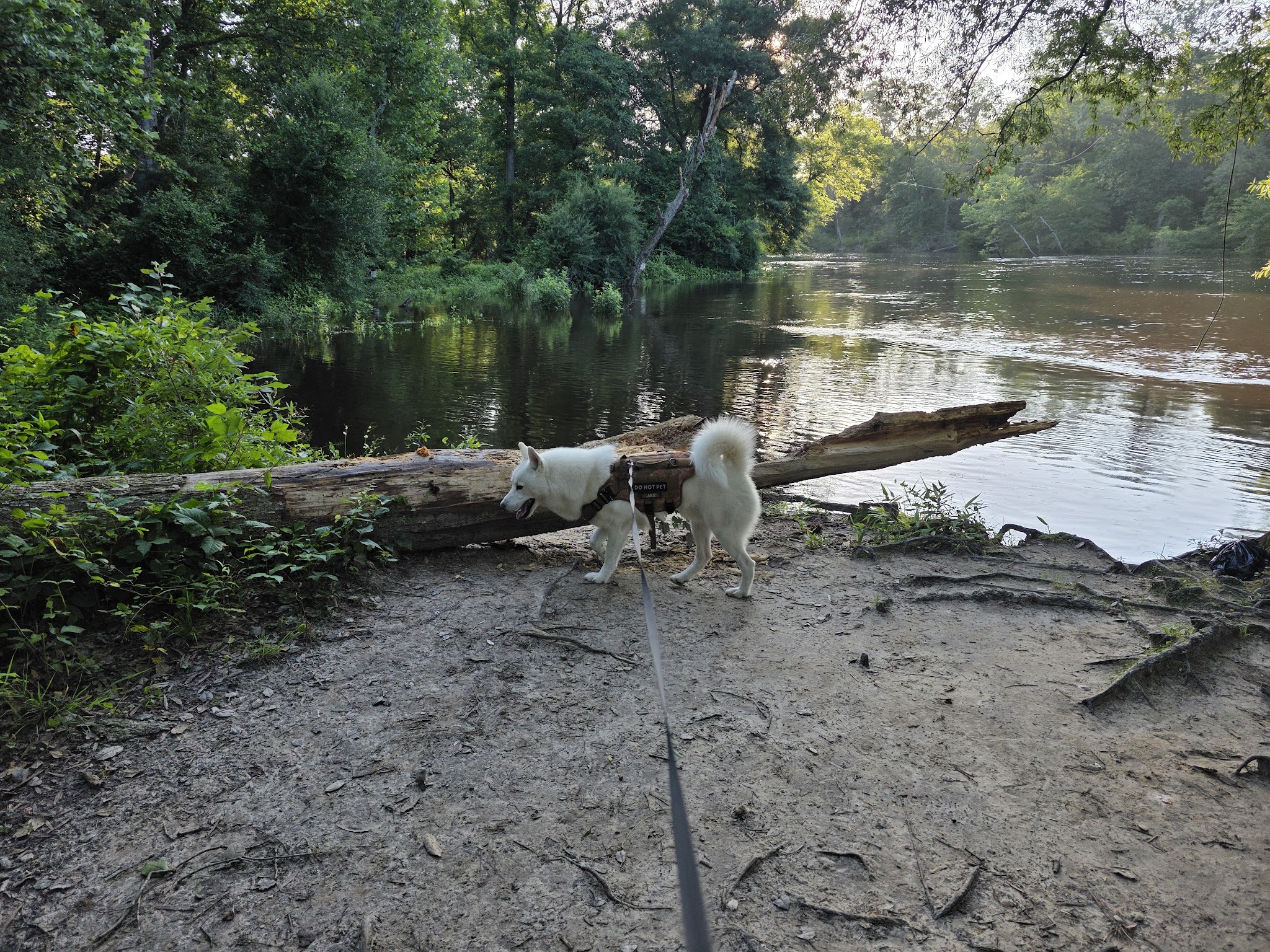 Zoar State Forest Canoe Ramp - Aylett, VA