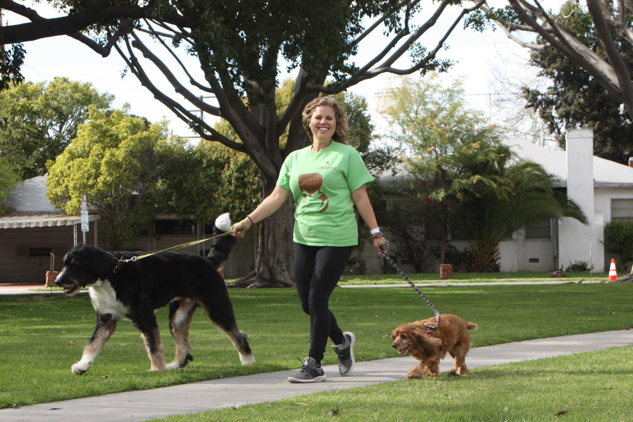 BarksNpurrs Petcare & Spa - ,