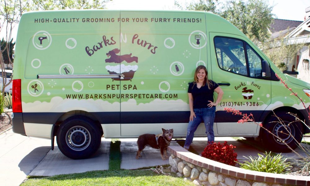 BarksNpurrs Petcare & Spa - ,