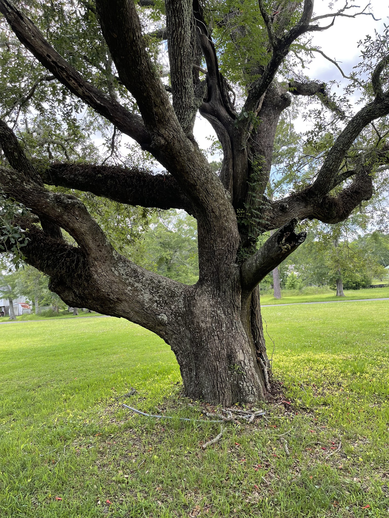 Bosarge Park - Bayou La Batre, AL