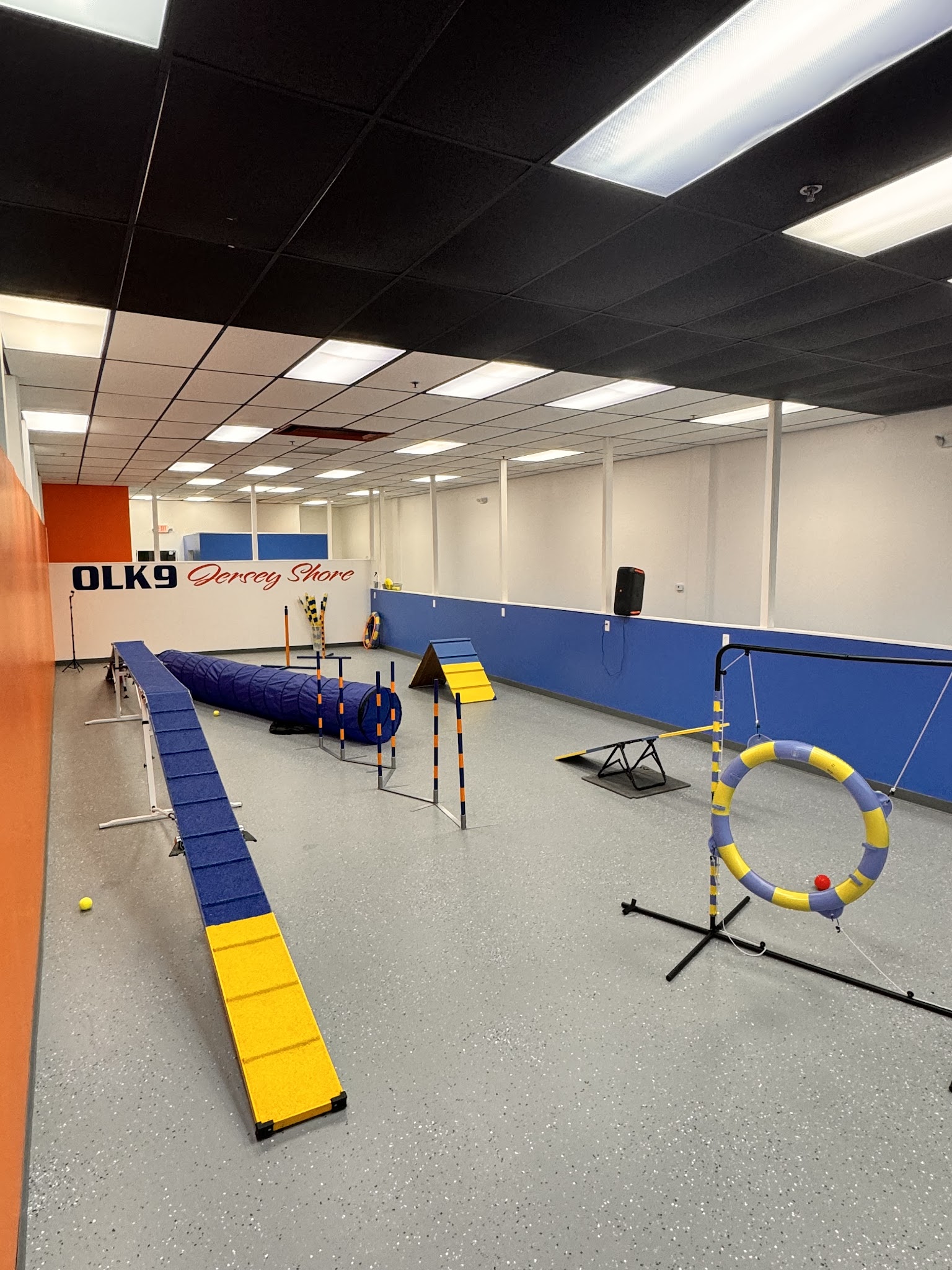 Off Leash K9 Training, Jersey Shore - Bayville, NJ