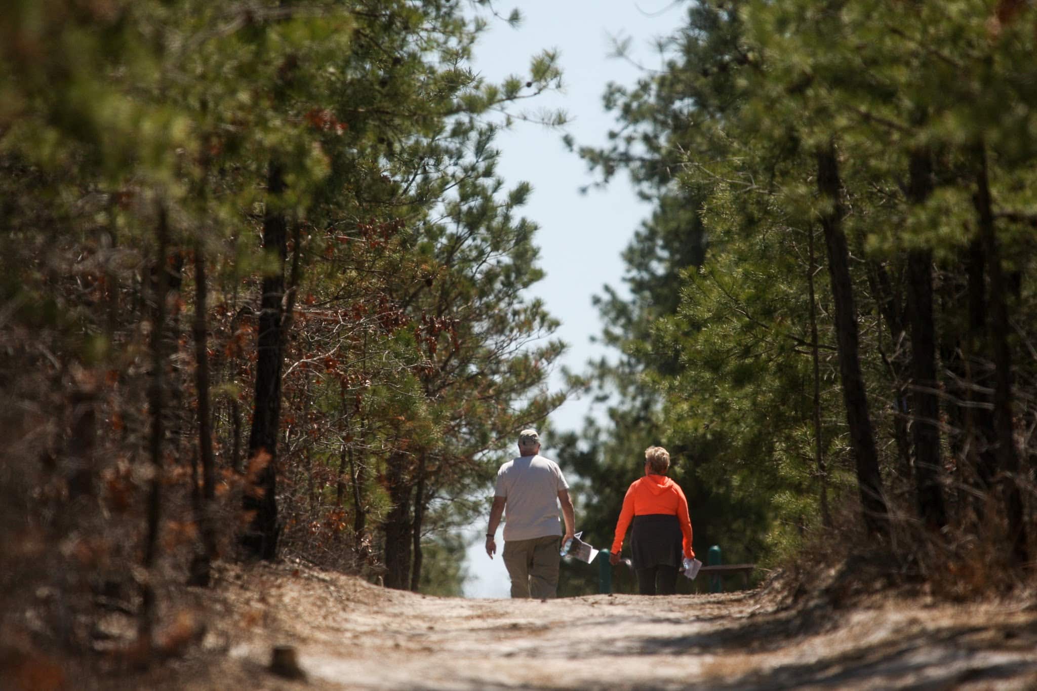 Jakes Branch County Park - Beachwood, NJ