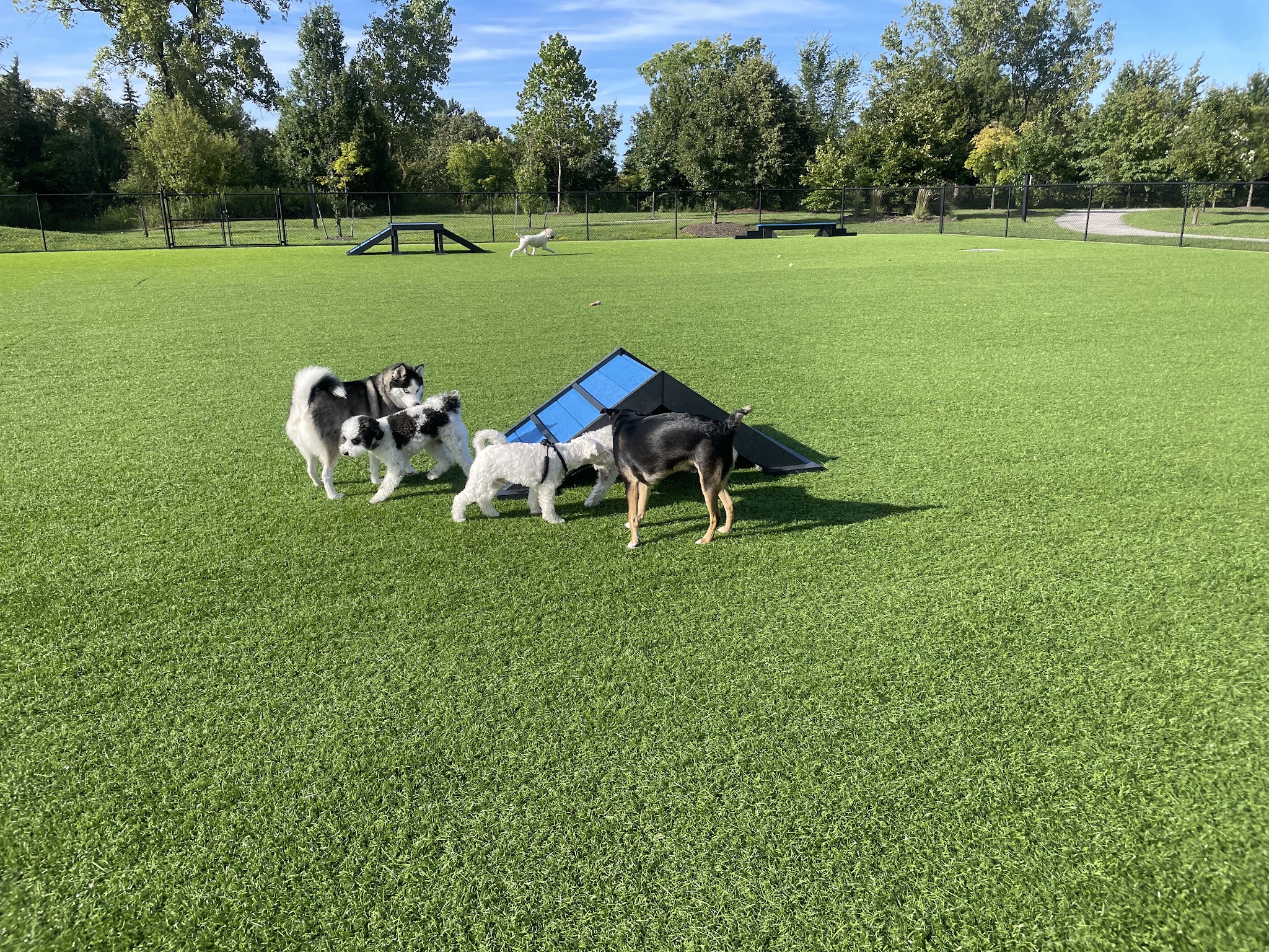 Barkwood Dog Park - Beachwood, OH