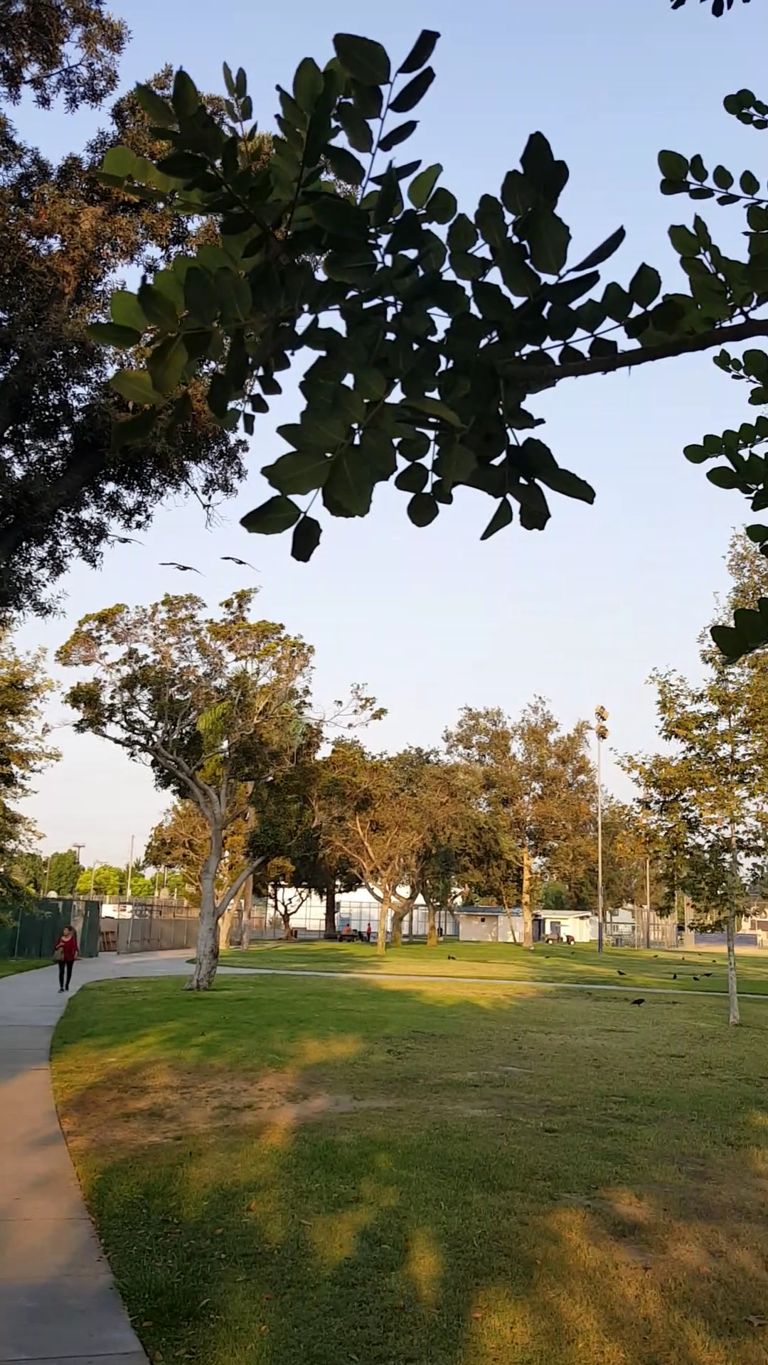 Bell Gardens Veterans Park - Bell Gardens, CA
