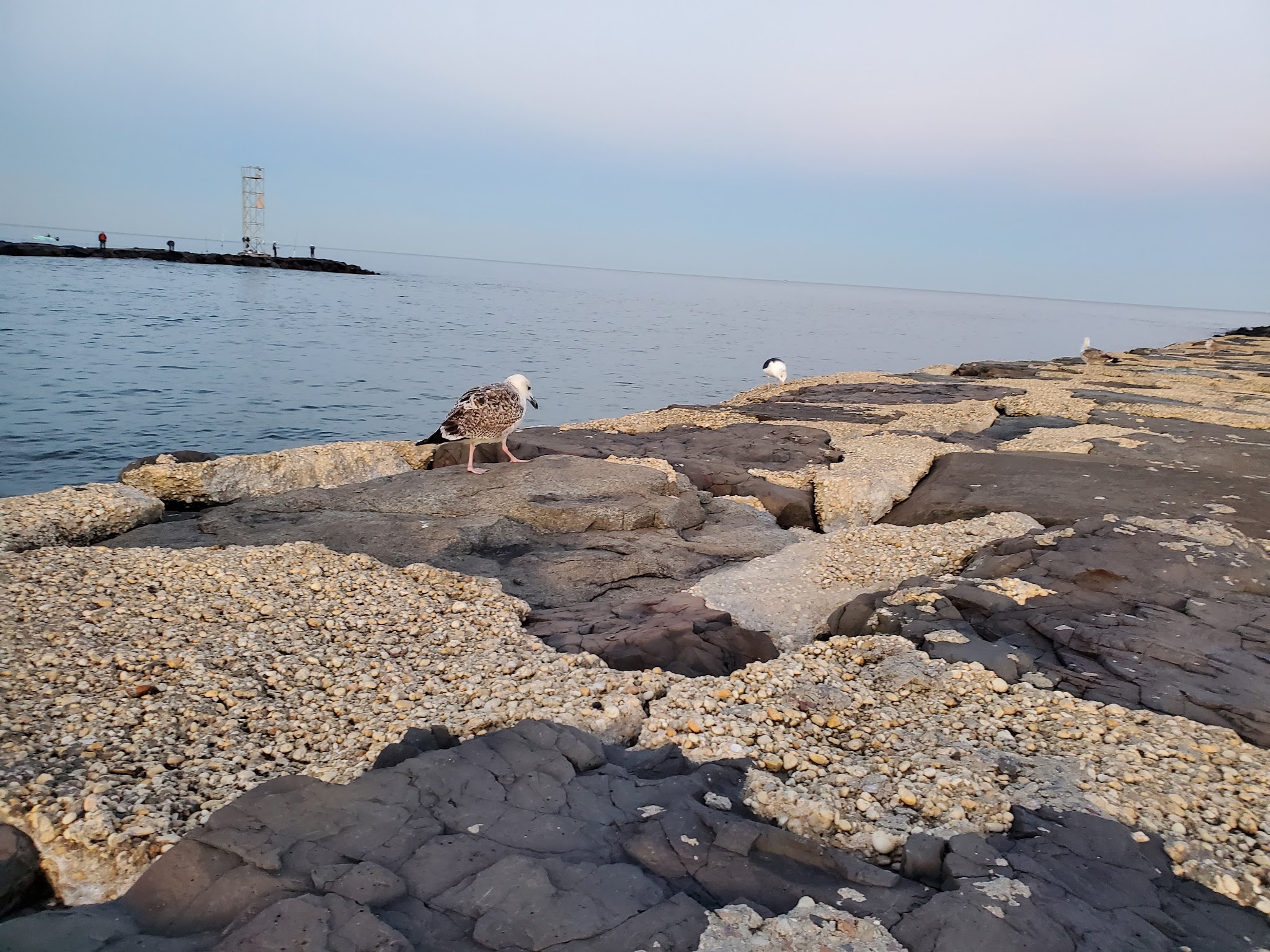 Belmar's Natural Beach Area - Belmar, NJ