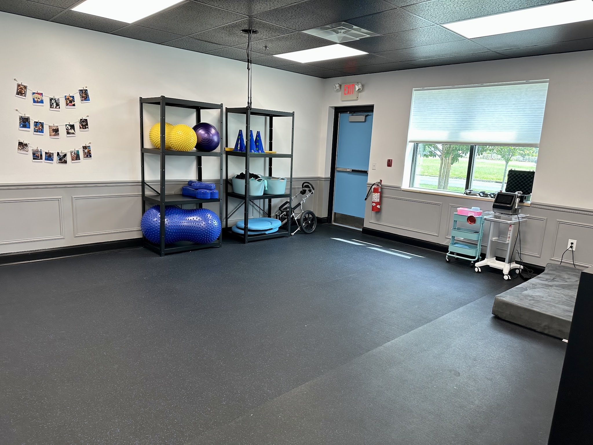 The Doggy Gym - Belmar, NJ