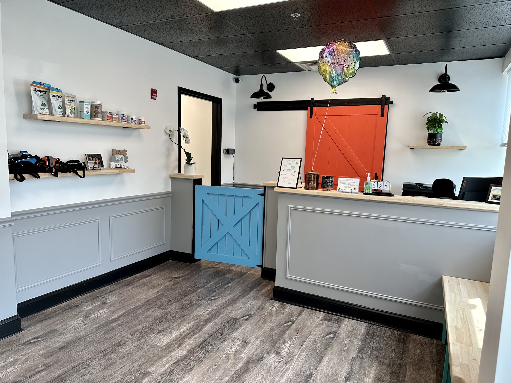 The Doggy Gym - Belmar, NJ