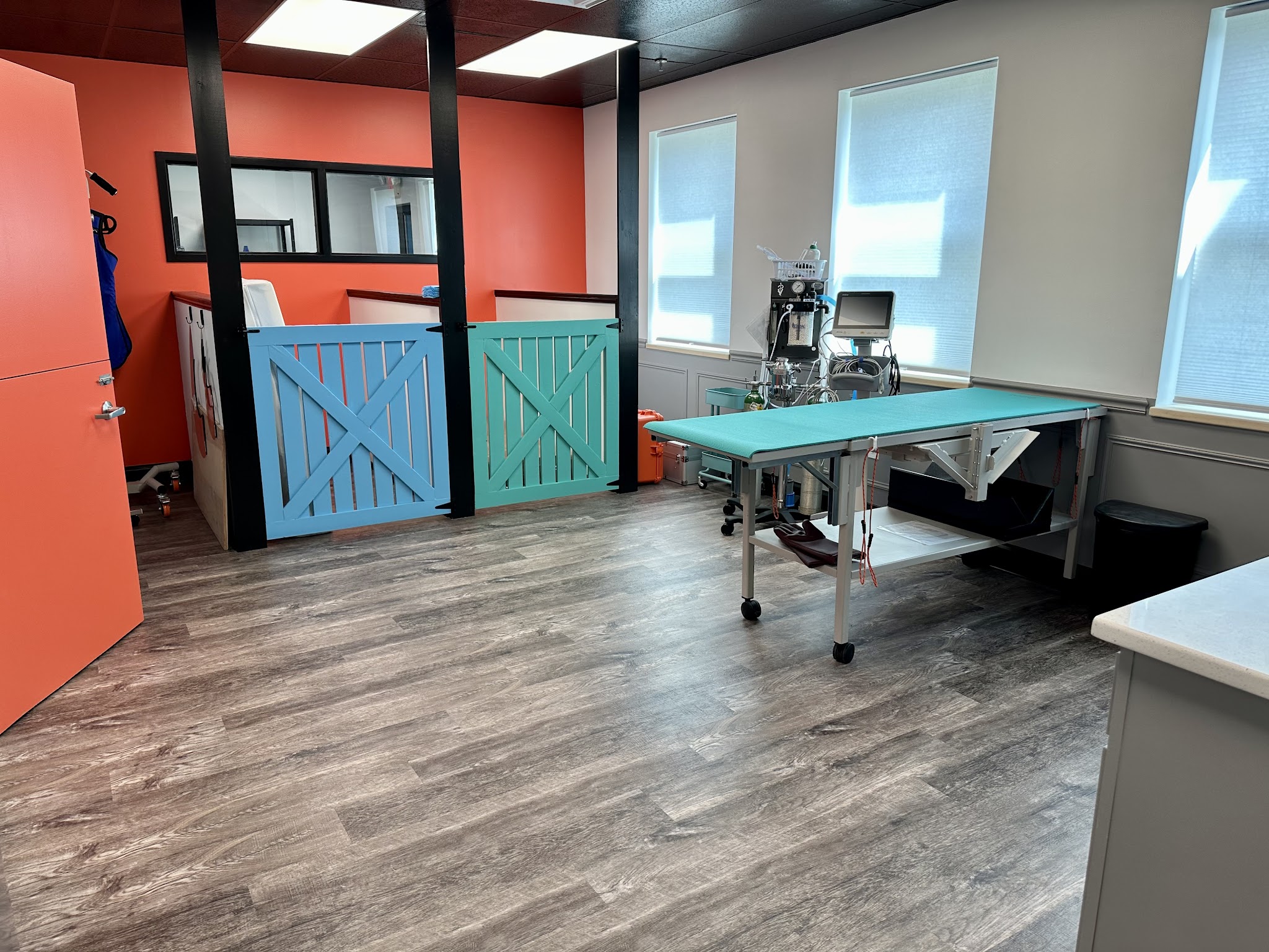 The Doggy Gym - Belmar, NJ