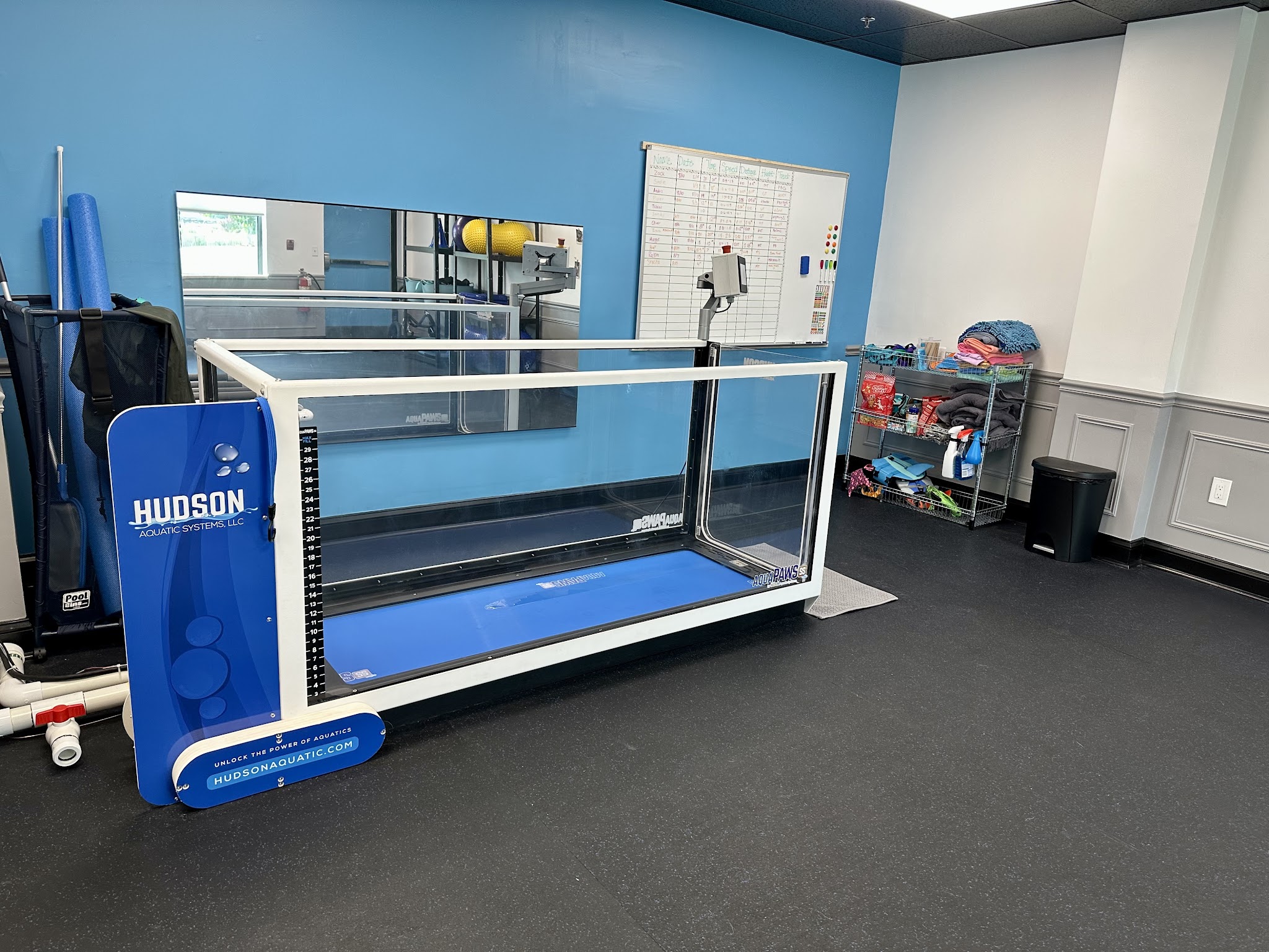 The Doggy Gym - Belmar, NJ