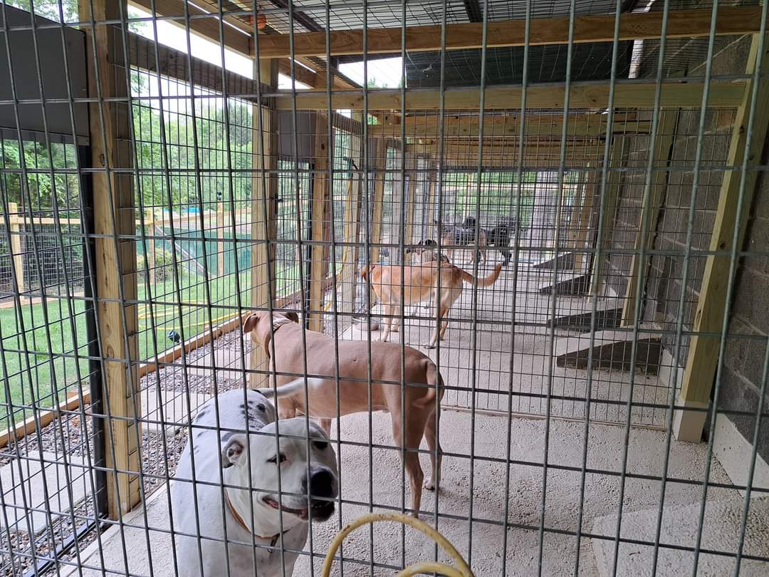 Kingdom Pet Boarding - Ben Wheeler, TX