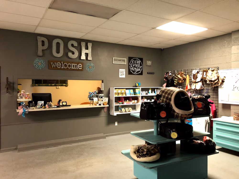 Posh 4 Paws - Boarding, Grooming, Daycare, & Boutique - Beulaville, NC
