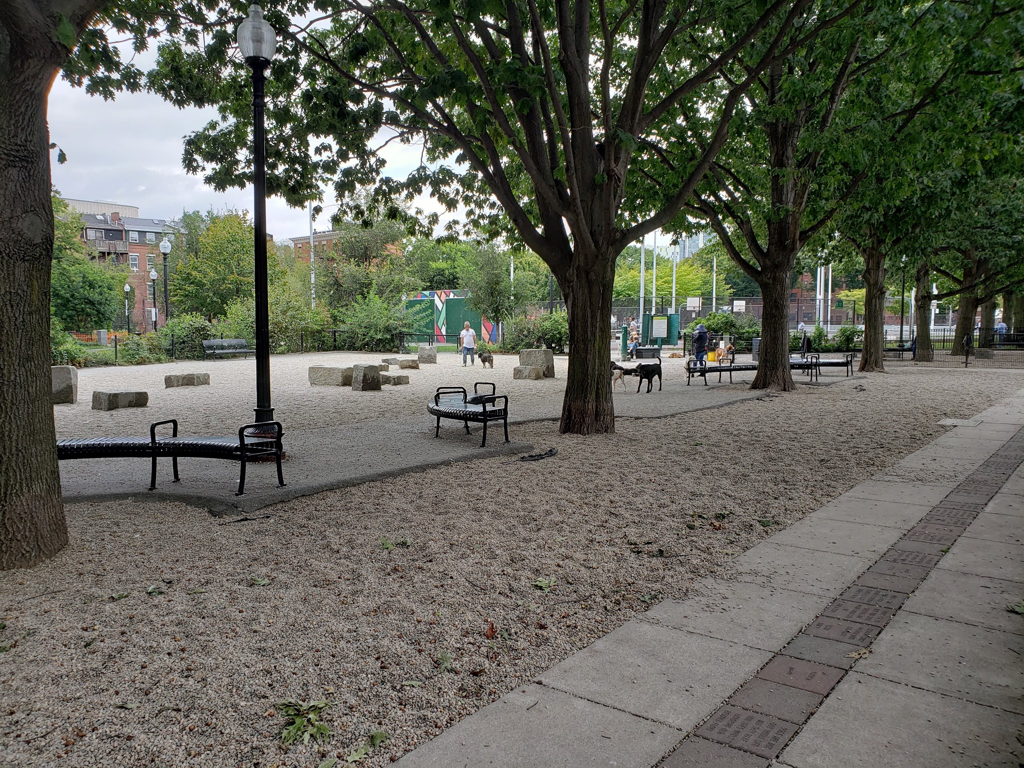 Peters Park - Boston, MA