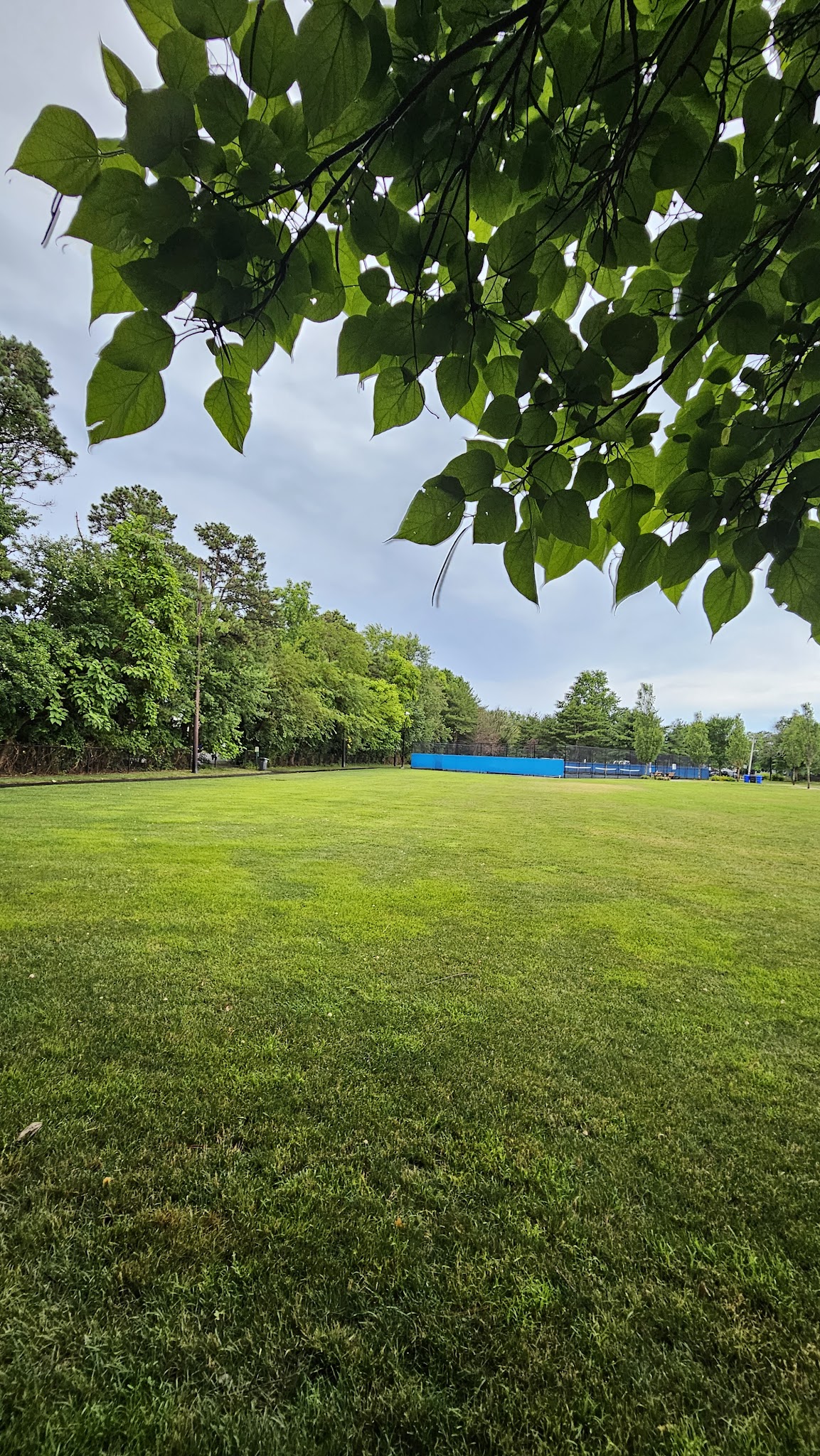 Angela Hibbard Park - Brick Township, NJ