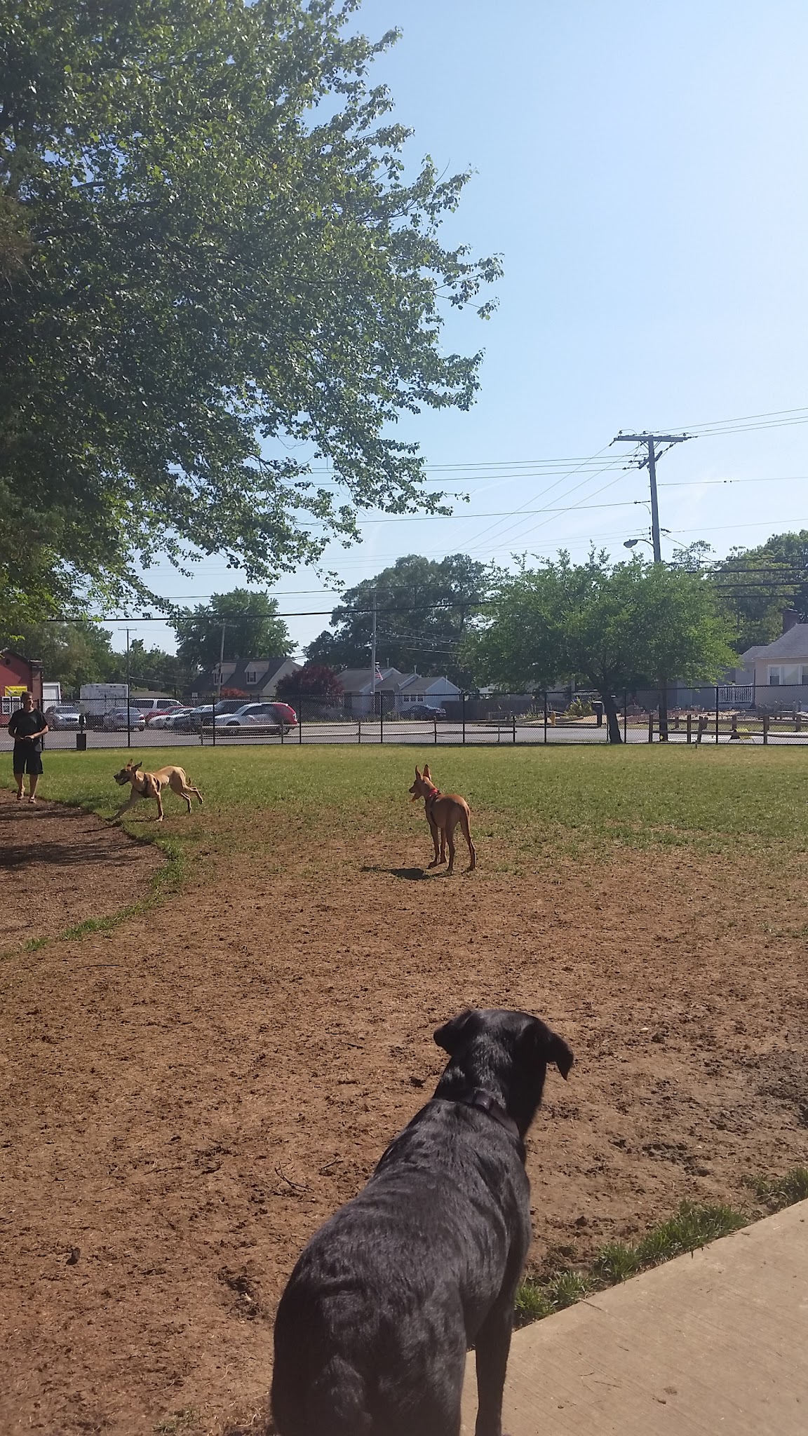 Angela Hibbard Park - Brick Township, NJ