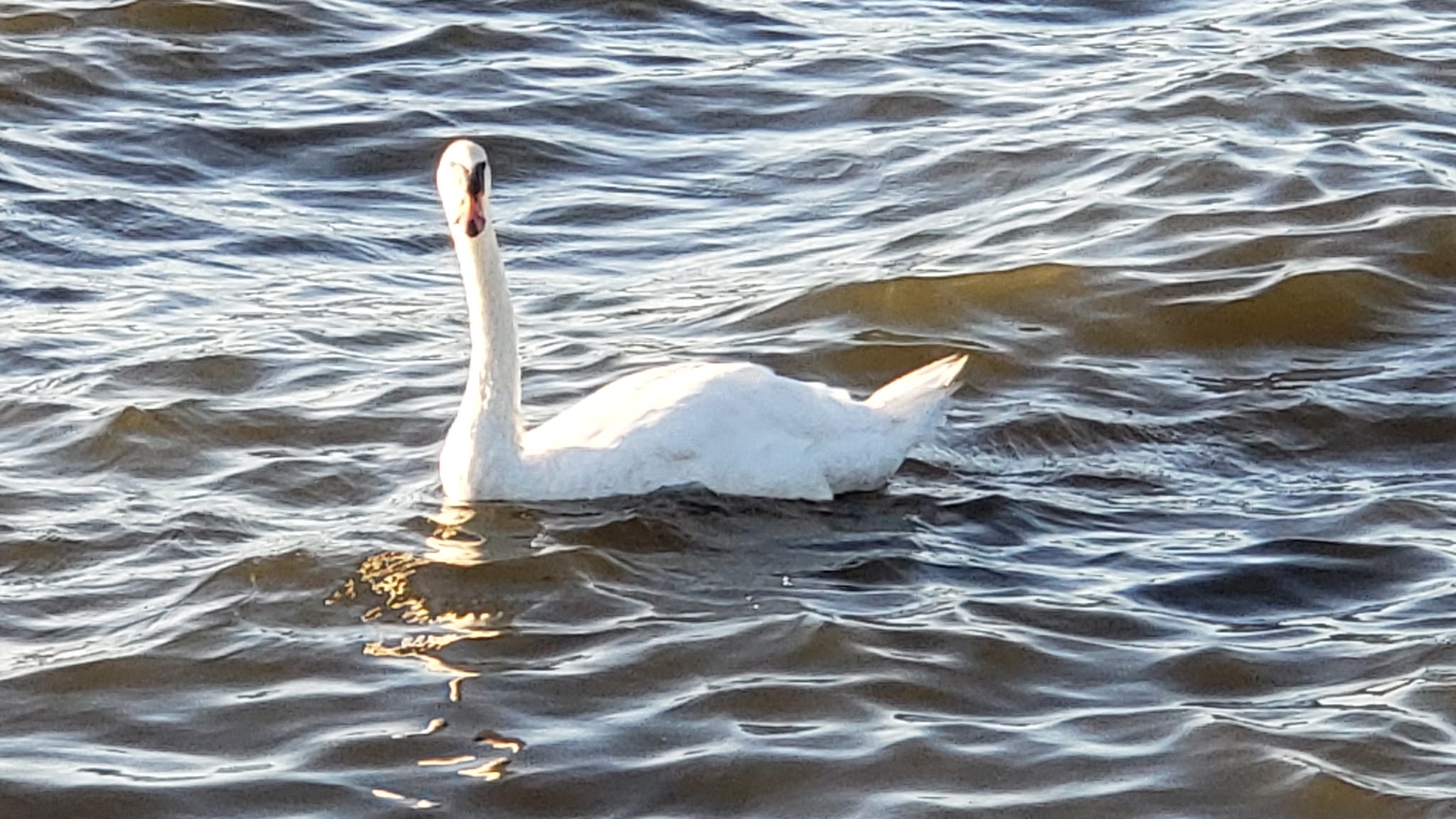 Bay Harbor Park - Brick Township, NJ