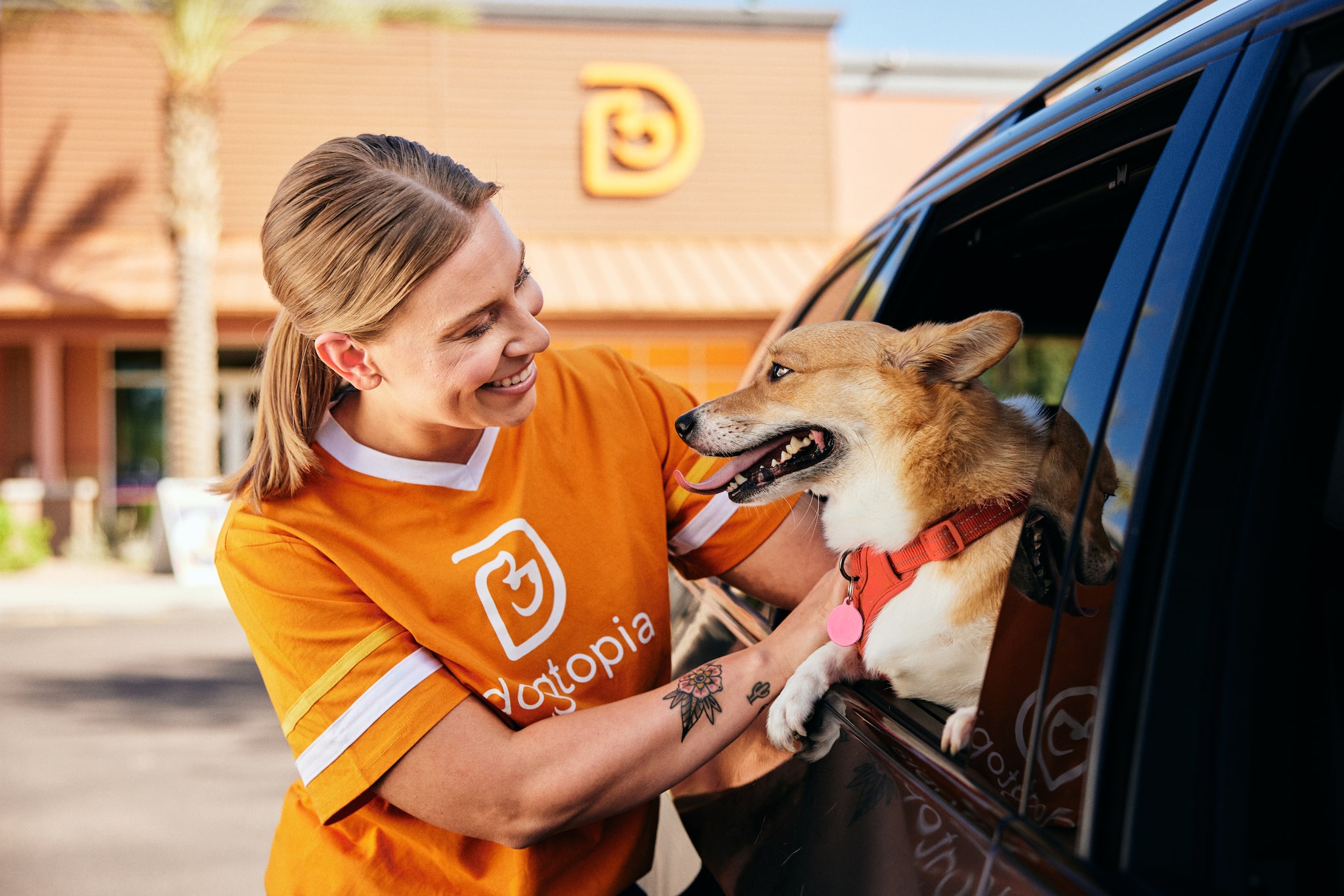 Dogtopia of Brick - Brick Township, NJ