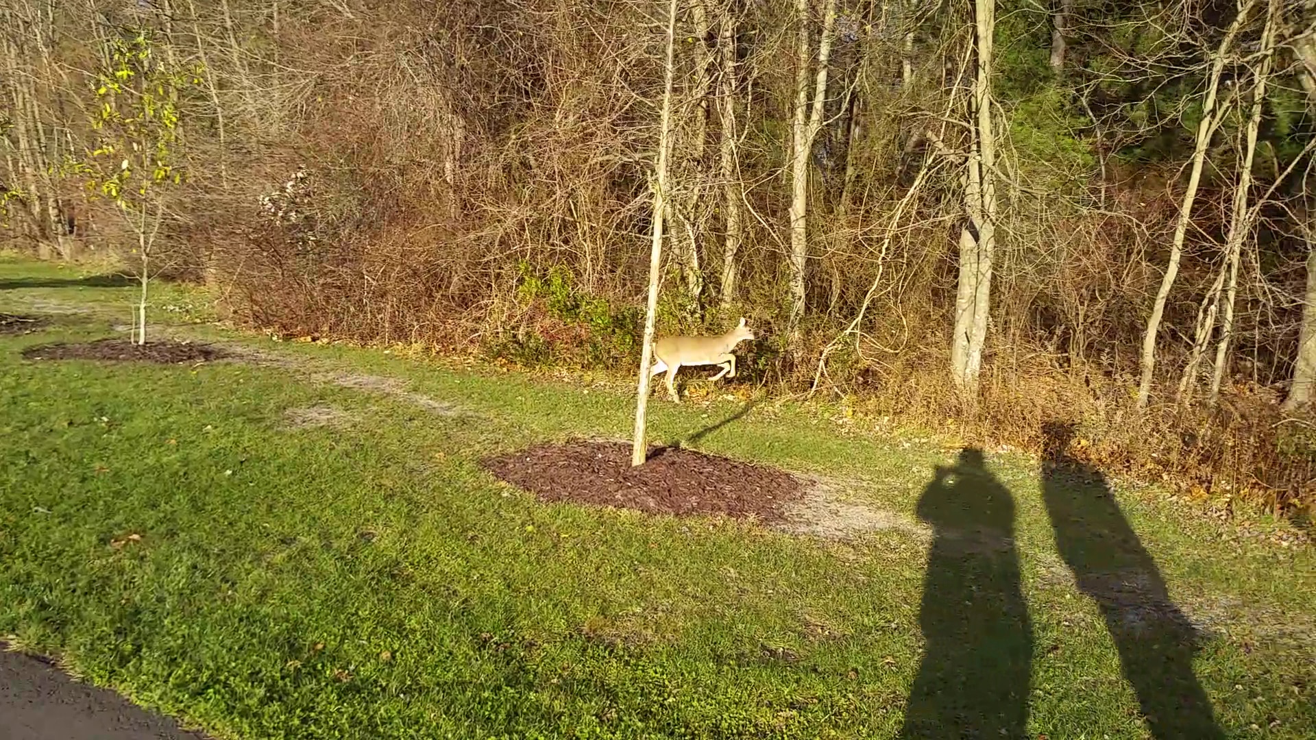 Herbertsville Park - Brick Township, NJ