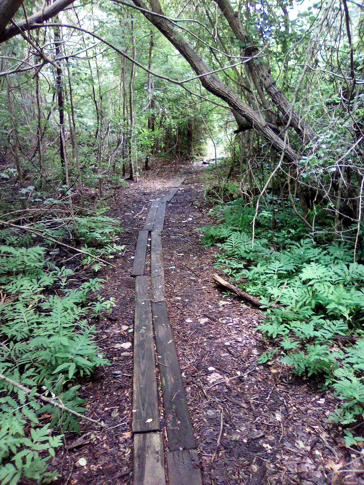 Riverwalk refuge - Brick Township, NJ