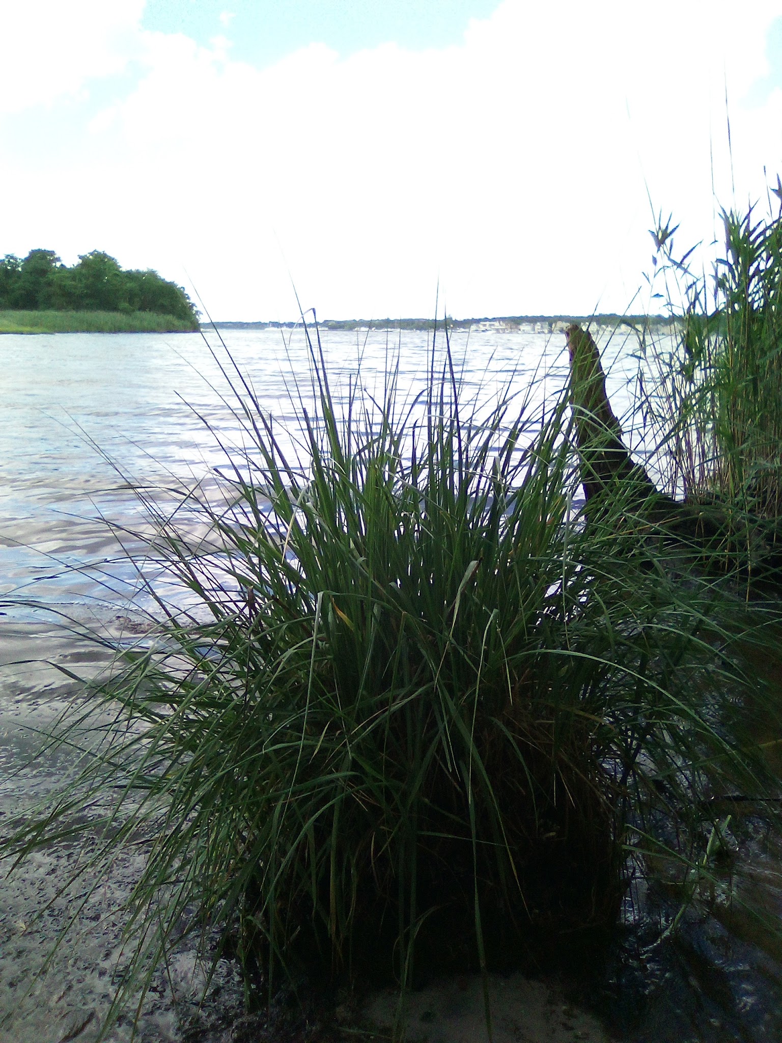 Riverwalk refuge - Brick Township, NJ