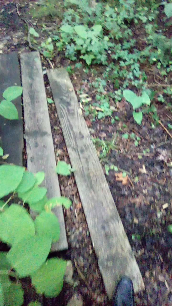 Riverwalk refuge - Brick Township, NJ