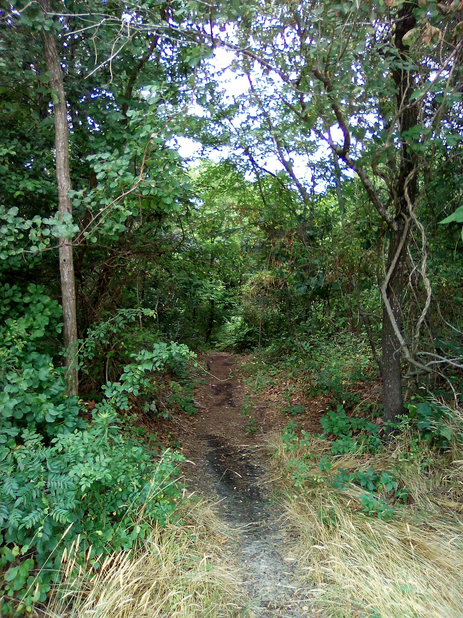 Riverwalk refuge - Brick Township, NJ
