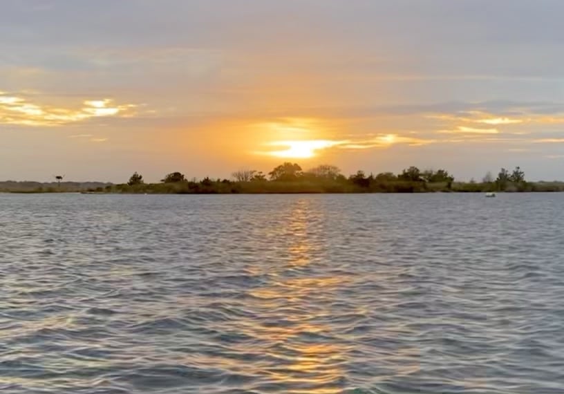 Swan Point State Natural Area - Brick Township, NJ