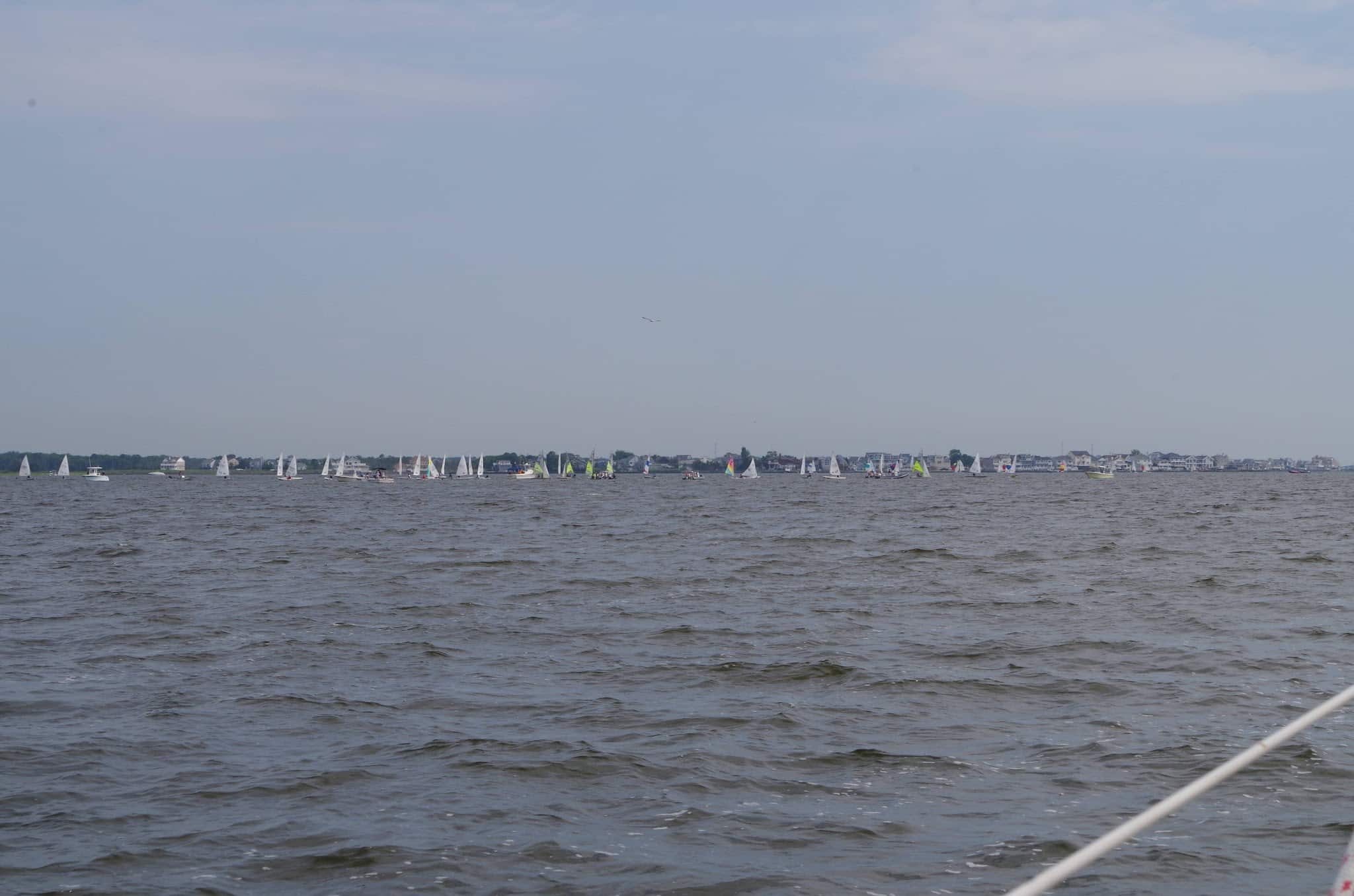 Swan Point State Natural Area - Brick Township, NJ