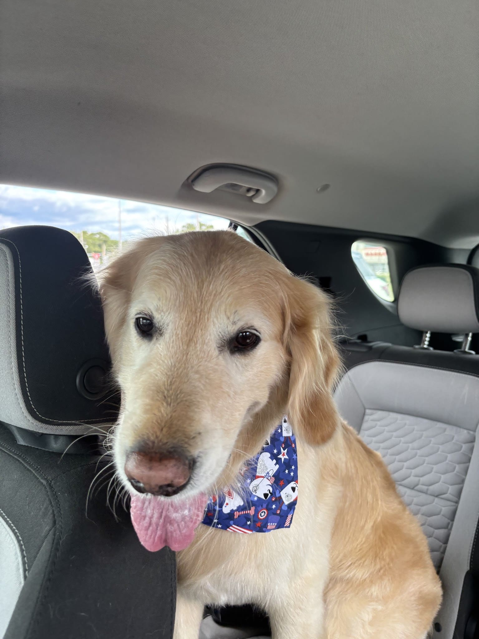 The Pooch Salon - Brick Township, NJ